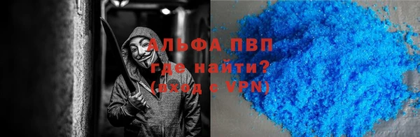гашик Осинники