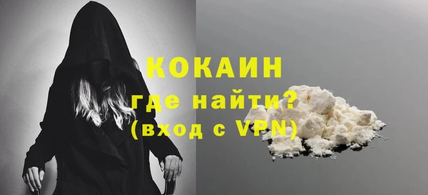 прущие грибы Осташков