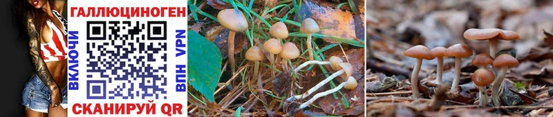купить ссылка на мегу ссылки Галлюциногенные грибы MAGIC MUSHROOMS Костомукша