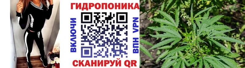 Каннабис SATIVA & INDICA  блэк спрут ONION  Костомукша 